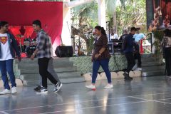 IMG_0172-scaled
